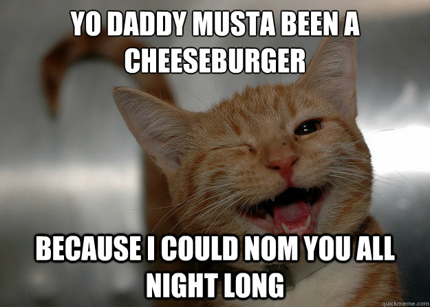 Yo daddy musta been a cheeseburger
 Because I could nom you all night long - Yo daddy musta been a cheeseburger
 Because I could nom you all night long  Cheesy Pickup Lines Cat