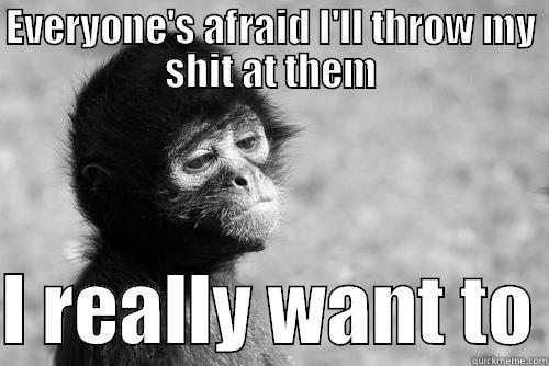 EVERYONE'S AFRAID I'LL THROW MY SHIT AT THEM  I REALLY WANT TO Misc