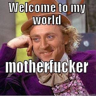 WELCOME TO MY WORLD MOTHERFUCKER Condescending Wonka