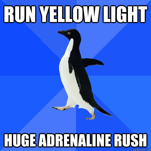 Run yellow light Huge adrenaline rush   Socially Awkward Penguin