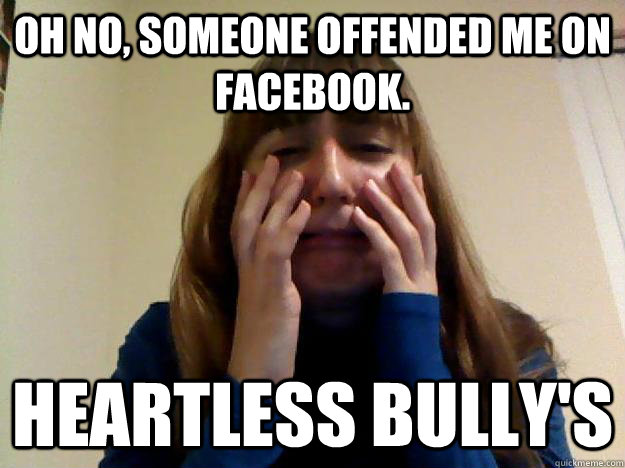 oh no, someone offended me on facebook. heartless bully's  