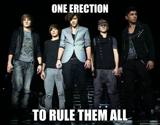 ONE ERECTION TO RULE THEM ALL  One Direction