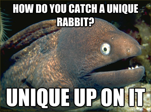 How do you catch a unique rabbit? Unique up on it - How do you catch a unique rabbit? Unique up on it  Bad Joke Eel