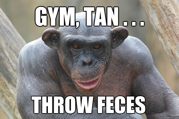 Gym, Tan . . .  Throw feces   The Most Interesting Chimp In The World