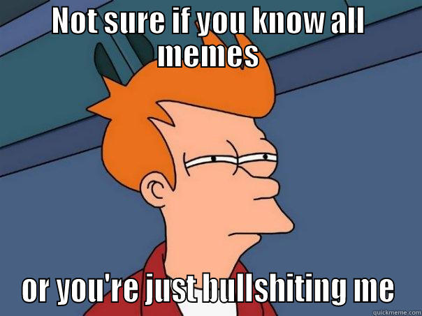NOT SURE IF YOU KNOW ALL MEMES OR YOU'RE JUST BULLSHITING ME Futurama Fry