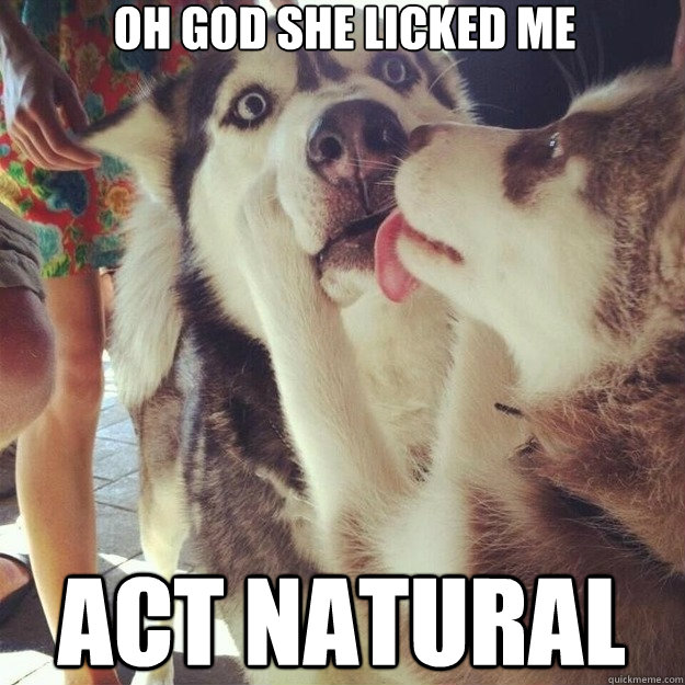 oh god she licked me act natural  Relationship Dog