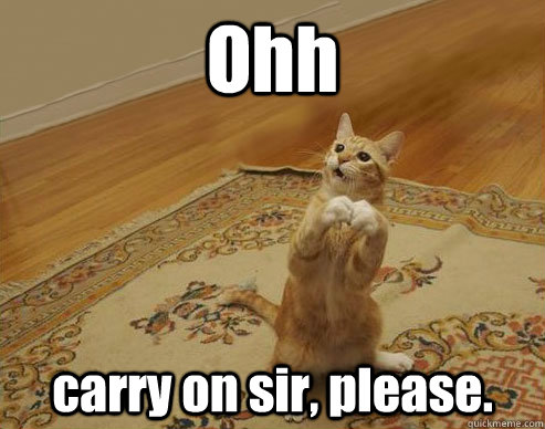 Ohh carry on sir, please. - Ohh carry on sir, please.  Innocent cat