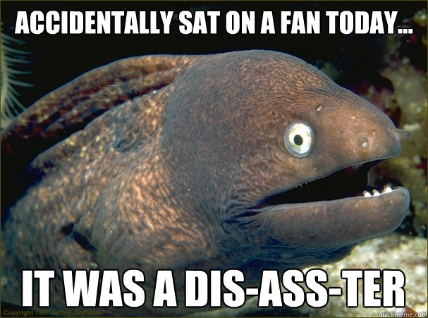 accidentally sat on a fan today... it was a dis-ass-ter - accidentally sat on a fan today... it was a dis-ass-ter  Bad Joke Eel