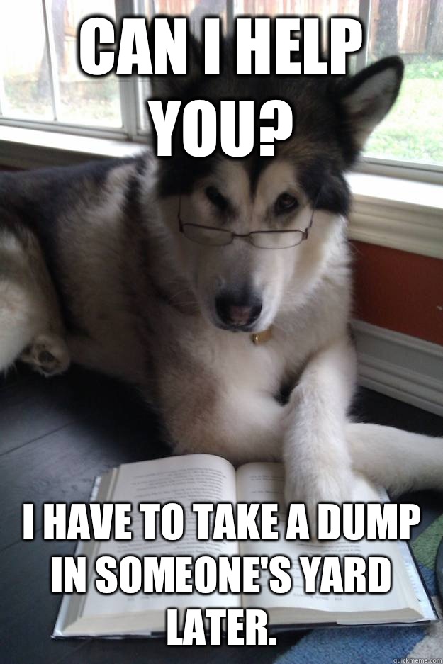 Can I help you? I have to take a dump in someone's yard later.  Condescending Literary Pun Dog