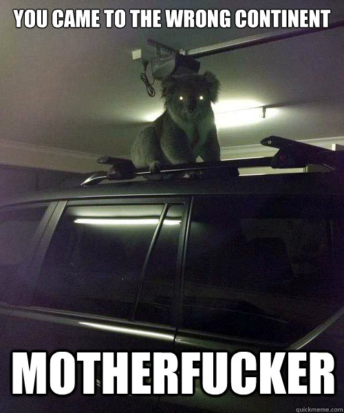 You came to the wrong continent motherfucker  Koala