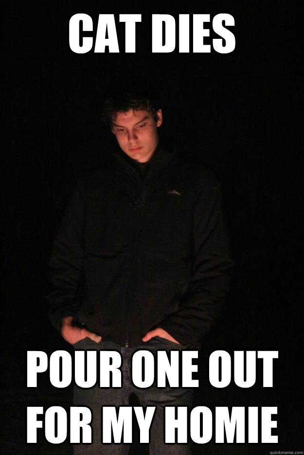 cat dies pour one out for my homie - cat dies pour one out for my homie  Misc