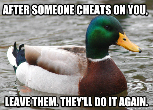 After someone cheats on you, Leave them. They'll do it again. - After someone cheats on you, Leave them. They'll do it again.  Actual Advice Mallard