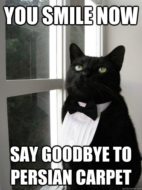 You Smile Now Say goodbye to Persian carpet  One Percent Cat