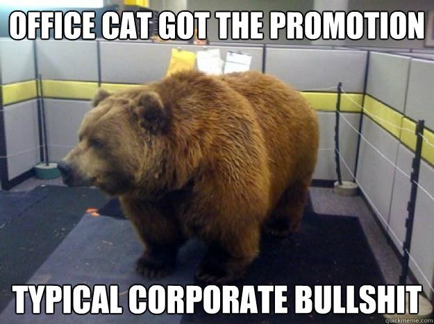 office cat got the promotion typical corporate bullshit - office cat got the promotion typical corporate bullshit  Office Grizzly