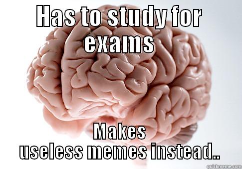 HAS TO STUDY FOR EXAMS MAKES USELESS MEMES INSTEAD.. Scumbag Brain