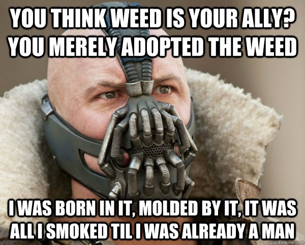 You think weed is your ally? you merely adopted the weed I was born in it, molded by it, it was all i smoked til i was already a man  Bane Connery