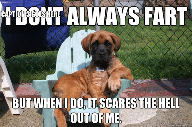 i dont always fart but when i do, it scares the hell out of me. Caption 3 goes here  The Most Interesting Dog in the World