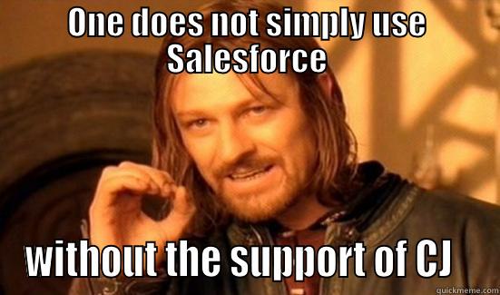 ONE DOES NOT SIMPLY USE SALESFORCE WITHOUT THE SUPPORT OF CJ   Boromir
