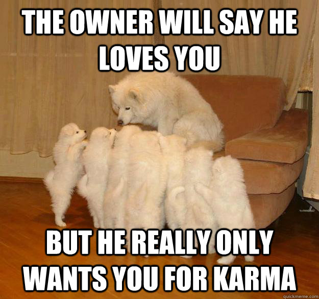 the owner will say he loves you but he really only wants you for karma - the owner will say he loves you but he really only wants you for karma  Misc