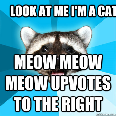 LOOK AT ME I'M A CAT MEOW MEOW MEOW UPVOTES TO THE RIGHT - LOOK AT ME I'M A CAT MEOW MEOW MEOW UPVOTES TO THE RIGHT  Lame Pun Coon