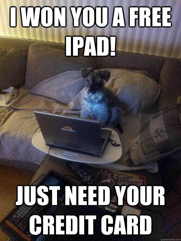 I won you a free ipad! Just need your Credit Card - I won you a free ipad! Just need your Credit Card  Surfing Schnauzer