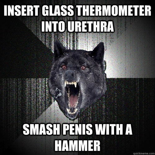 Insert glass thermometer into urethra Smash penis with a hammer   Insanity Wolf
