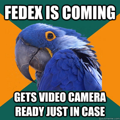 FEDEX Is COMING GETS VIDEO CAMERA READY JUST IN CASE  Paranoid Parrot