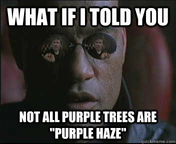 What if i told you Not all purple trees are 