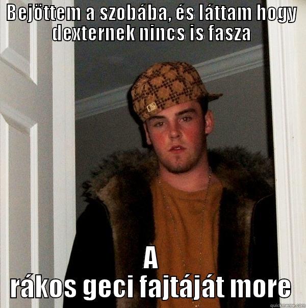 BEJÖTTEM A SZOBÁBA, ÉS LÁTTAM HOGY DEXTERNEK NINCS IS FASZA A RÁKOS GECI FAJTÁJÁT MORE Scumbag Steve