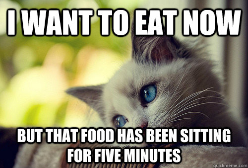 I want to eat now but that food has been sitting for five minutes  First World Problems Cat
