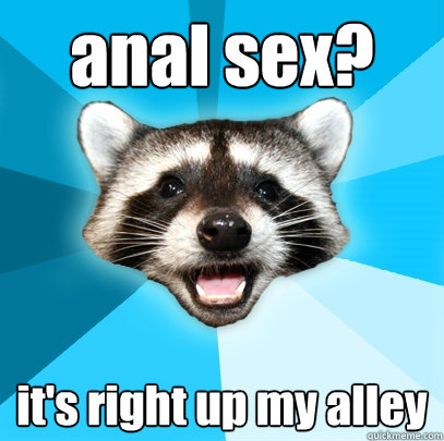 anal sex? it's right up my alley   Lame Pun Coon