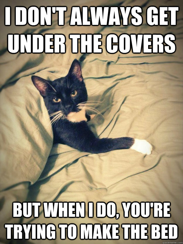 I don't always get under the covers but when I do, you're trying to make the bed  Seductive Cat