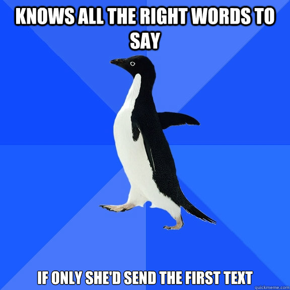 Knows All the right words to say If only she'd send the first text  Socially Awkward Penguin