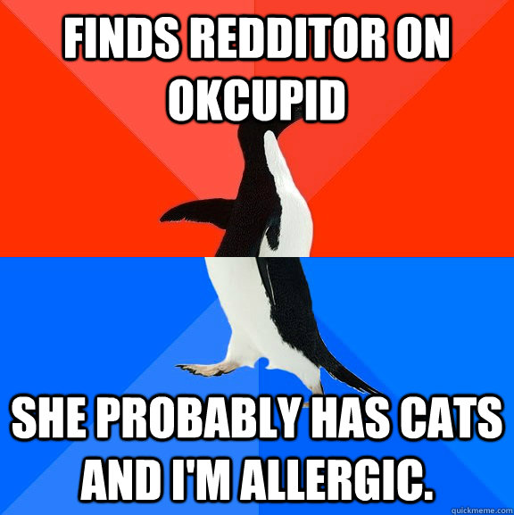 Finds redditor on okcupid she probably has cats and i'm allergic.  Socially Awesome Awkward Penguin