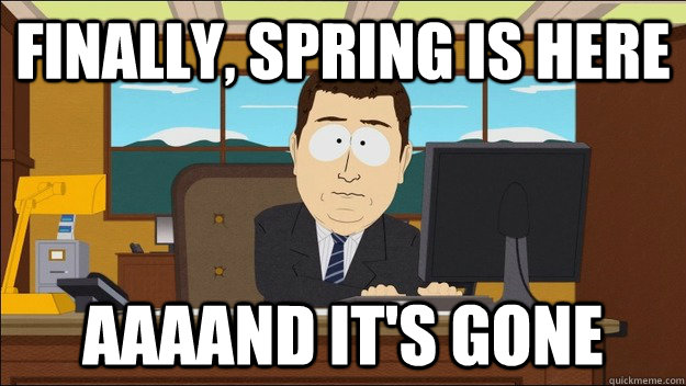 Finally, Spring is here Aaaand it's gone  aaaand its gone