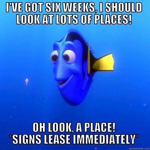 I'VE GOT SIX WEEKS, I SHOULD LOOK AT LOTS OF PLACES! OH LOOK, A PLACE! *SIGNS LEASE IMMEDIATELY* dory