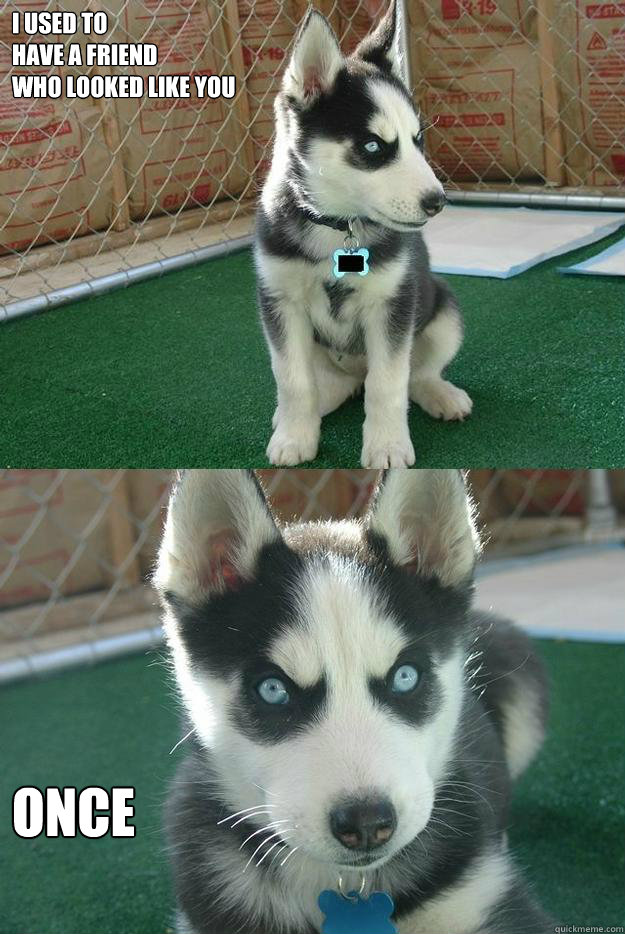 i used to 
have a friend 
who looked like you once  Insanity puppy