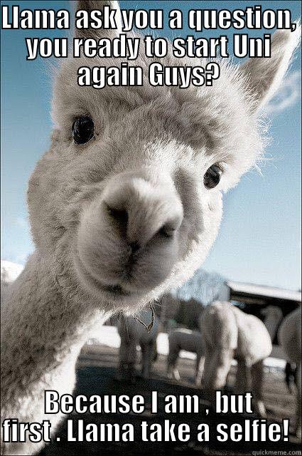 LLAMA ASK YOU A QUESTION, YOU READY TO START UNI AGAIN GUYS? BECAUSE I AM , BUT FIRST . LLAMA TAKE A SELFIE!  Misc