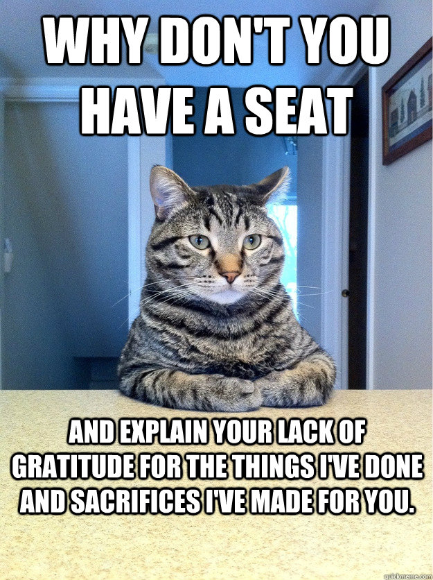 Why don't you have a seat and explain your lack of gratitude for the things i've done and sacrifices I've made for you.  Chris Hansen Cat