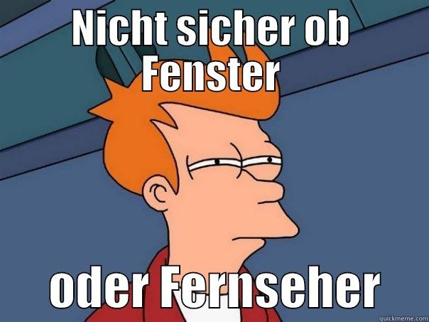 NICHT SICHER OB FENSTER       ODER FERNSEHER     Futurama Fry