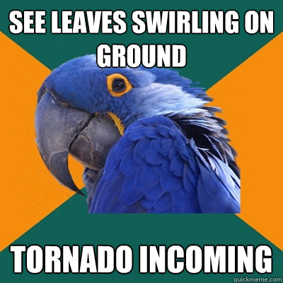 See leaves swirling on ground Tornado incoming  Paranoid Parrot