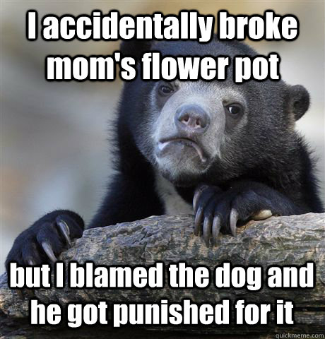 I accidentally broke mom's flower pot but I blamed the dog and he got punished for it  Confession Bear