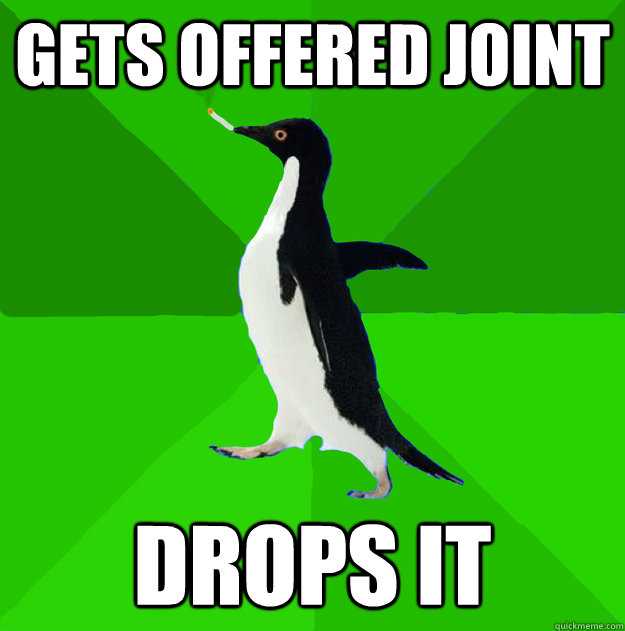 Gets offered joint Drops it  Stoner Penguin