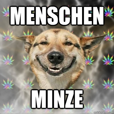 Menschen Minze  Stoner Dog