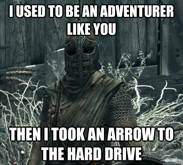 I used to be an adventurer like you Then I Took an arrow to the hard drive  Skyrim Guard
