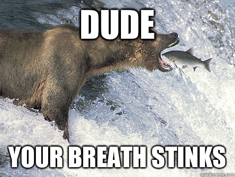 Dude Your breath stinks - Dude Your breath stinks  Misc
