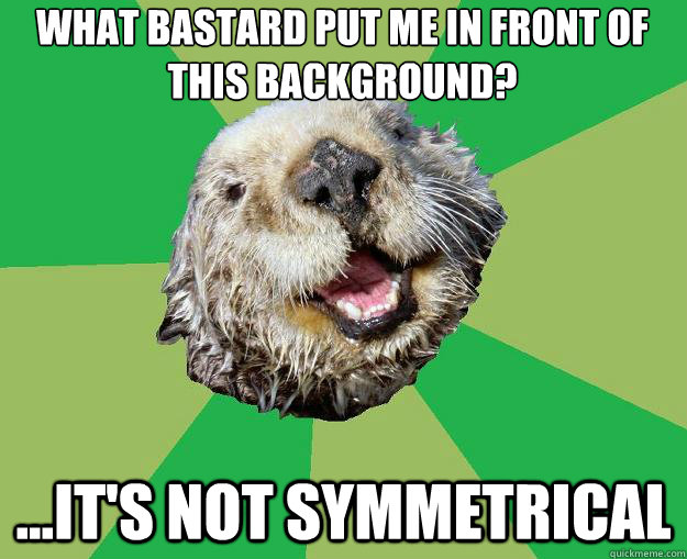 What bastard put me in front of this background? ...it's not symmetrical  OCD Otter