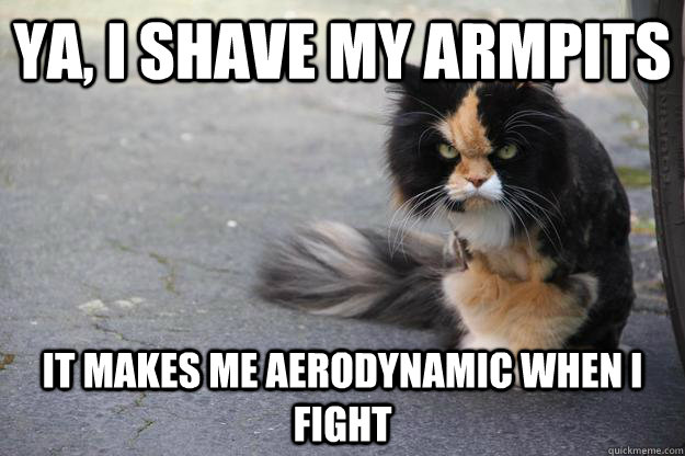 ya, I shave my armpits it makes me aerodynamic when I fight  Angry Cat