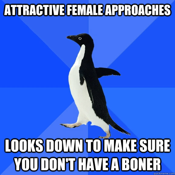 Attractive female approaches  Looks down to make sure you don't have a boner  Socially Awkward Penguin