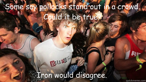 Some say pollocks stand out in a crowd. Could it be true? Iron would disagree.  Sudden Clarity Clarence